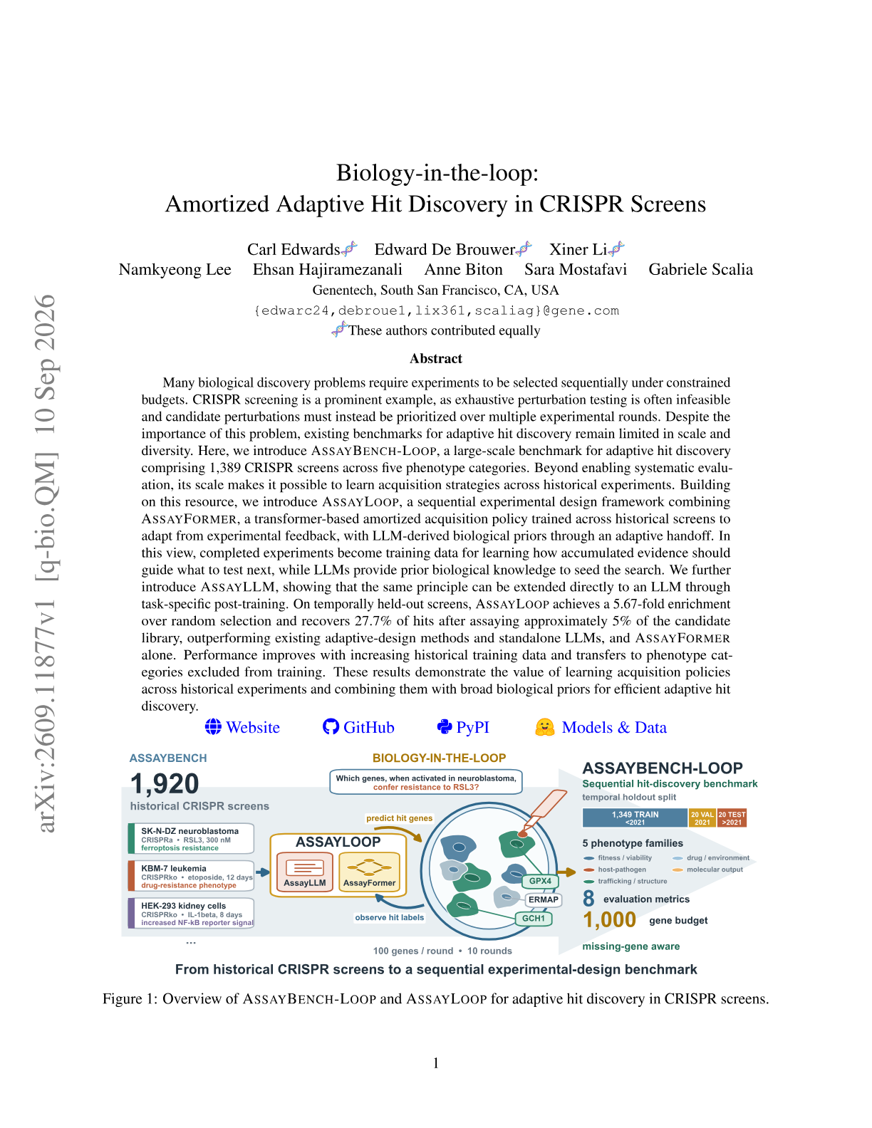 Biology-in-the-loop: Amortized Adaptive Hit Discovery in CRISPR Screens